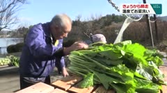 きょうから師走　温泉でお菜洗い　