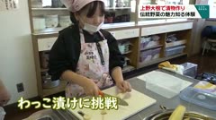 上野大根で漬物作り　伝統野菜の魅力知る体験　