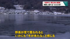 八剱神社　諏訪湖の観察　湖面に揺れる“セミの羽”　