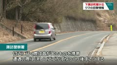 下諏訪町星が丘 クマの目撃情報