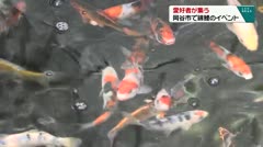 愛好者が集う　岡谷市で錦鯉のイベント