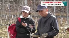 八ヶ岳西麓を新たな生産地へ “りんご”の「せんてい」実習