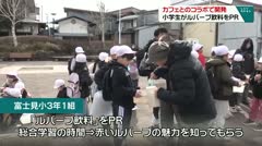 カフェとのコラボで開発　小学生がルバーブ飲料をPR　