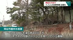 岡谷IC付近で イノシシの目撃情報 注意を