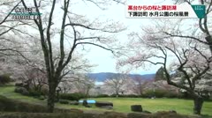 高台からの桜と諏訪湖　下諏訪町　水月公園の桜風景