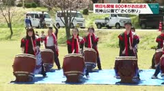 明日も開催 ８００本がお出迎え 荒神山公園で「さくら祭り」