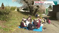 今年は「中の上」岡谷市西堀区　こぶしの花占い
