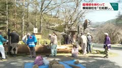 臨場感を味わって 模擬御柱を「化粧直し」