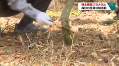 積水樹脂プラメタル　森林の里親体験活動