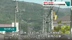 街中に出没か 岡谷市神明町でクマ目撃情報