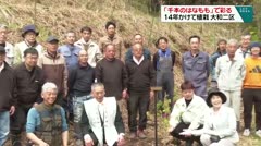 「千本のはなもも」で彩る １４年かけて植樹 大和二区