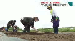 5月23日(土)から開始 アリスとめぐる畑のひみつツアー