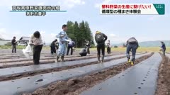 蓼科野菜の生育に繋げたい！循環型の種まき体験会