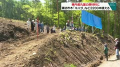 県内産丸薬の原材料に 諏訪市木「キハダ」など2200本植える