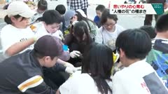 思いやりの心育む “人権の花”の種まき
