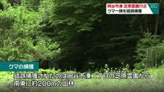 岡谷市湊二丁目芝原霊園付近 クマ一頭を錯誤捕獲