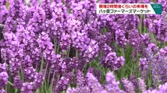 開場2時間後ぐらいの来場を 八ヶ岳ファーマーズマーケット