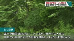 国道２０号ローソン周辺 富士見町でクマの目撃情報