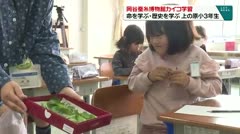 岡谷蚕糸博物館カイコ学習 命を学ぶ・歴史を学ぶ 上の原小３年生