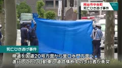 岡谷市中央町 死亡ひき逃げ事故