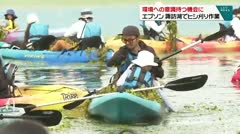 環境への意識持つ機会に　エプソン　諏訪湖でヒシ刈り作業　