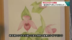 明日20日から初開催 「全日本アツモリソウサミット」