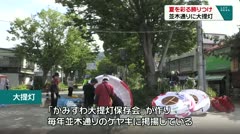 夏を彩る飾りつけ 並木通りに大提灯