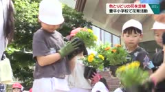 色とりどりの花を定植 豊平小学校で花育活動