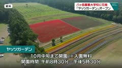 八ヶ岳農業大学校に花畑 「ヤッツガーデン」オープン