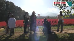 夏の空から絶景 花畑で気球体験