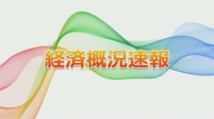 経済概況速報 6月調査結果