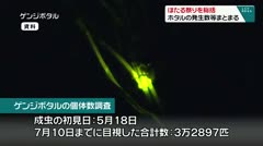 ほたる祭りを総括 ホタルの発生数等まとまる