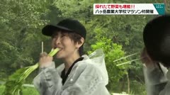 採れたて野菜も堪能!! 八ヶ岳農業大学校マラソン初開催