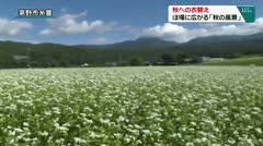 秋への衣替え ほ場に広がる「秋の風景」