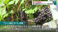 新たな特産品へ 富士見町初のワイナリー等を見学