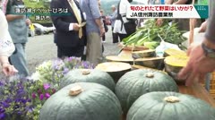 旬のとれたて野菜はいかが？　ＪＡ信州諏訪農業祭