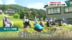 下諏訪北小5年 収穫の秋・稲刈り体験