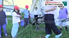 大変だけどかわいい！ 原小学校でヤギのお世話