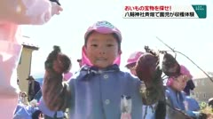おいもの宝物を探せ！ 八剱神社の畑で園児が収穫体験