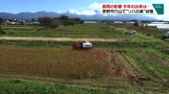 長雨の影響 今年の出来は… 茅野市穴山で“ソバの実”収穫