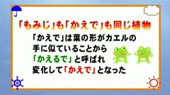 気象歳時記 紅葉と寒候期予報