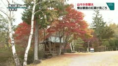 山々が衣替え 横谷観音の紅葉が見ごろ